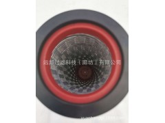 605752 真空泵滤芯 96541500000图3