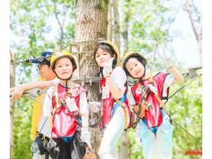 苏州三六六社会实践课走进森林探索林间奥秘暑期夏令营活动招生中图3