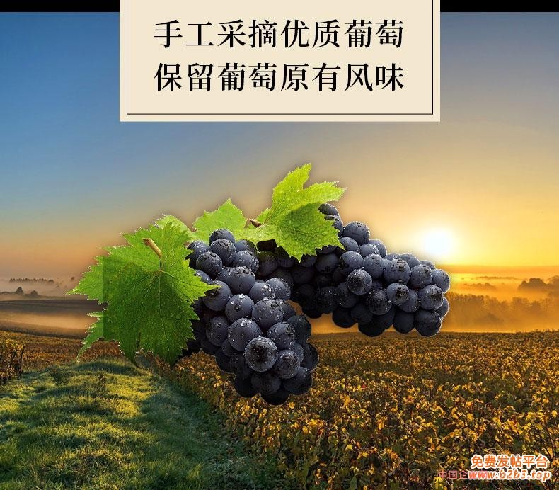 详情页5