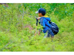 苏州三六六社会实践中小学自然科考研学旅行山野徒步体验探索活动图3